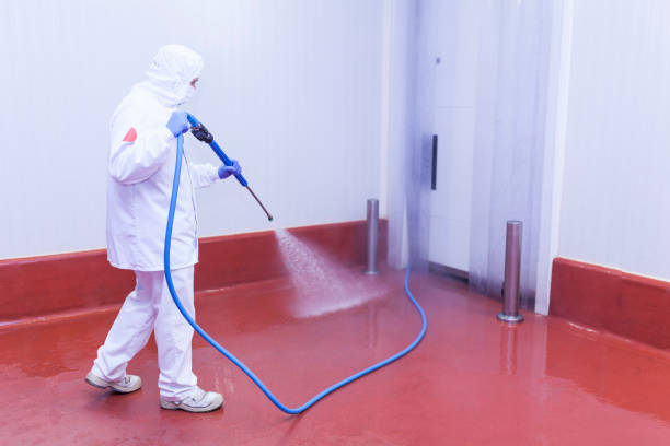 Best Winterizing Services  in Pine Ridge, FL