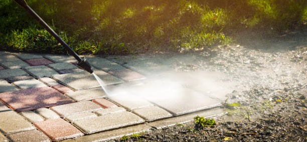 Best Soft Washing  in Pine Ridge, FL