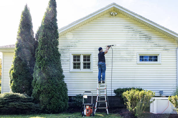 Best House Exterior Washing  in Pine Ridge, FL