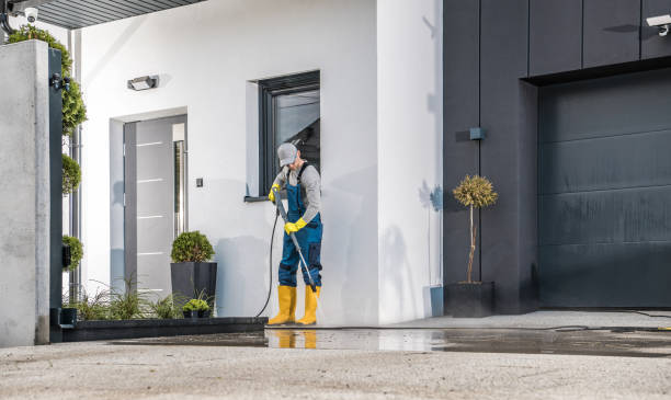 Best Gutter Cleaning  in Pine Ridge, FL